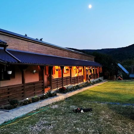 Casa Borcean 2 Guest House Sasca Montană Екстериор снимка