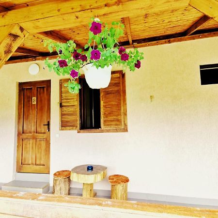 Casa Borcean 2 Guest House Sasca Montană Екстериор снимка