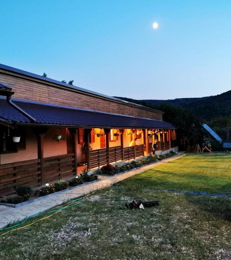 Casa Borcean 2 Guest House Sasca Montană Екстериор снимка