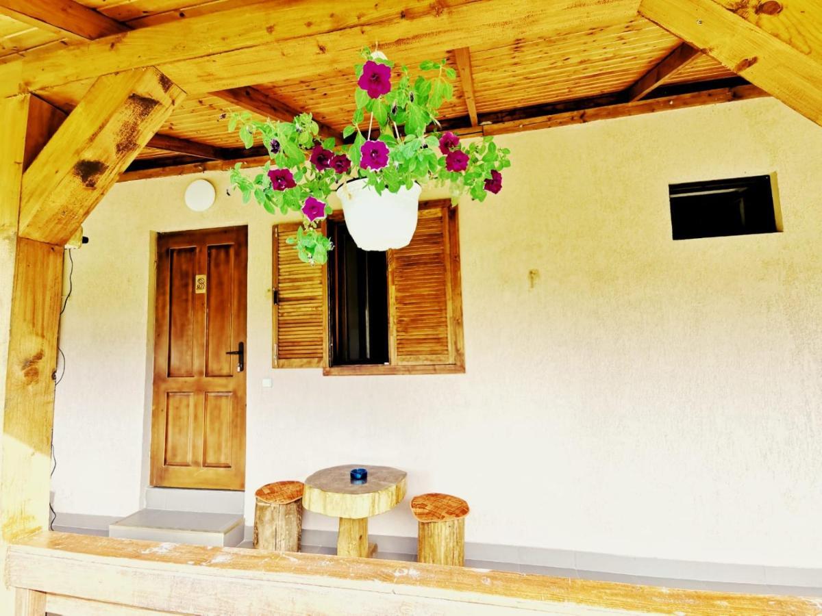 Casa Borcean 2 Guest House Sasca Montană Екстериор снимка