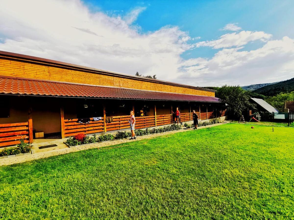 Casa Borcean 2 Guest House Sasca Montană Екстериор снимка