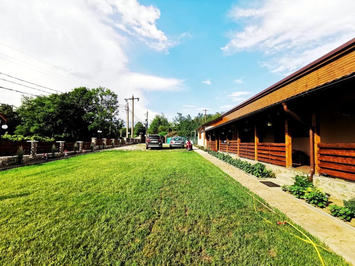 Casa Borcean 2 Guest House Sasca Montană Екстериор снимка
