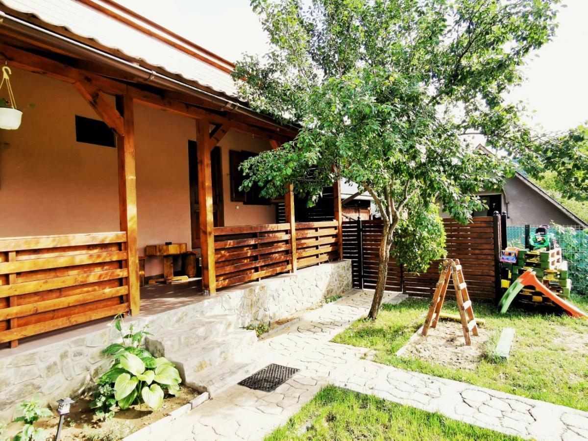 Casa Borcean 2 Guest House Sasca Montană Екстериор снимка
