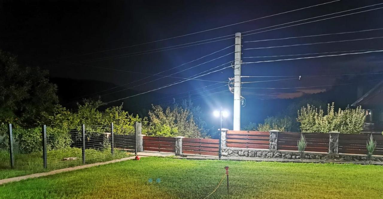 Casa Borcean 2 Guest House Sasca Montană Екстериор снимка