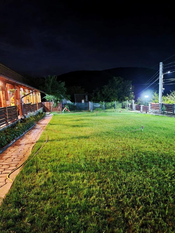 Casa Borcean 2 Guest House Sasca Montană Екстериор снимка