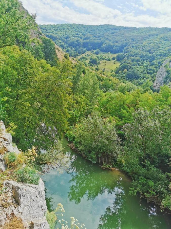 Casa Borcean 2 Guest House Sasca Montană Екстериор снимка
