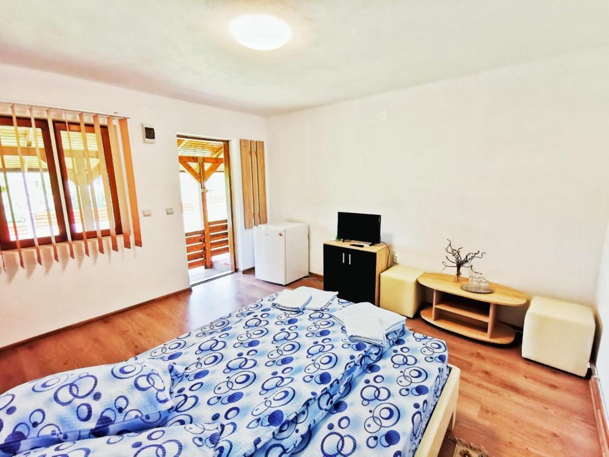 Casa Borcean 2 Guest House Sasca Montană Екстериор снимка