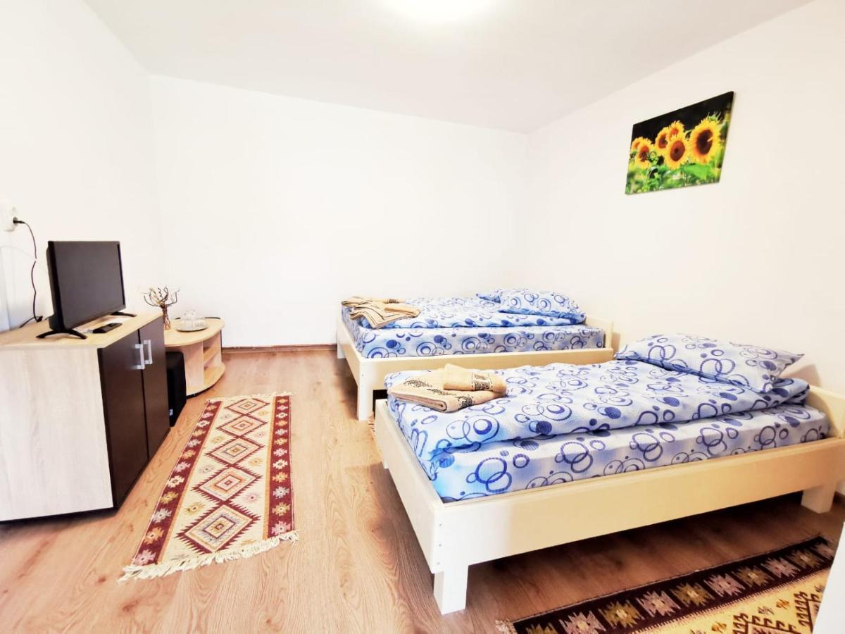 Casa Borcean 2 Guest House Sasca Montană Екстериор снимка