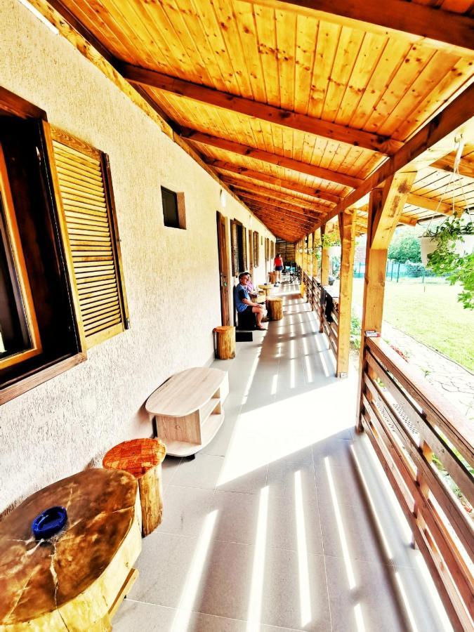 Casa Borcean 2 Guest House Sasca Montană Екстериор снимка