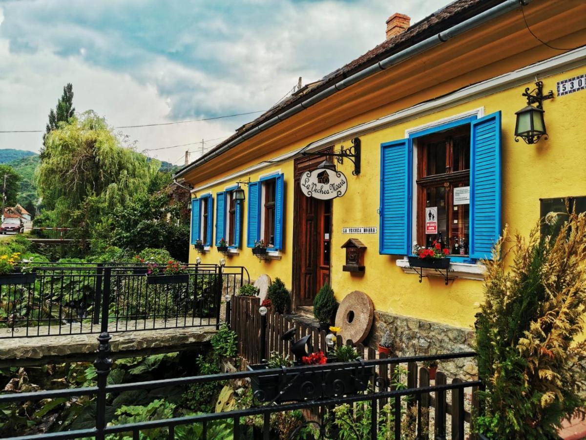 Casa Borcean 2 Guest House Sasca Montană Екстериор снимка